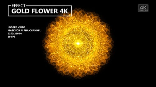 Goldene Blume