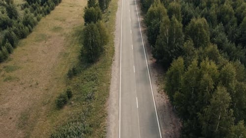 Asphalt road between forest