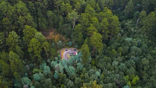 Natural Forestry Aerial View of Lush Greenlands and Woodlands with Drone View