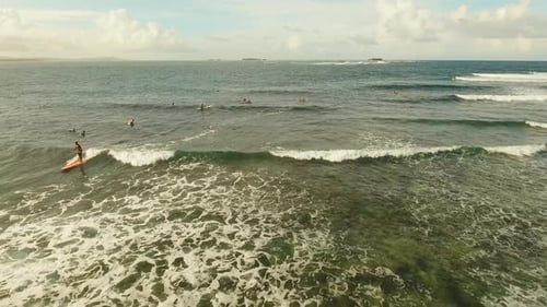 Surfistas en la superficie del agua