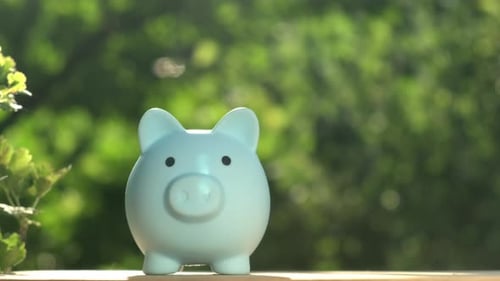 Hand Putting Coins Into Piggy Bank on Green Nature Background