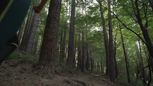 Tracking Camera Of Woman in Sports Outfit Jogging In A Green Park, Slow Motion