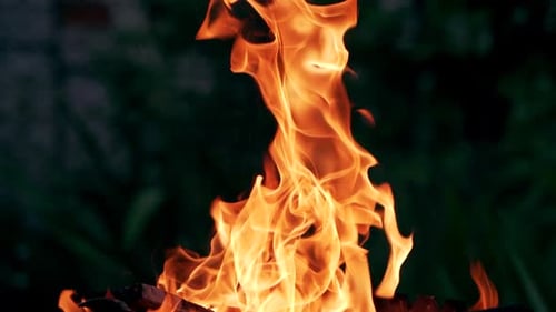 Burning fire. Bonfire. Close Up of flames burning on black background, slow motion