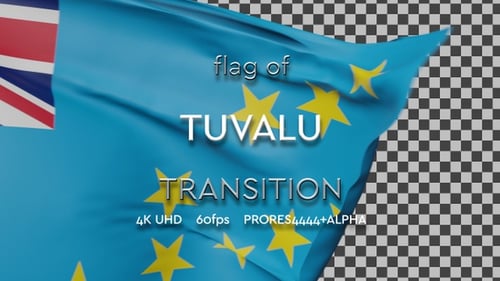 Realistic Waving Flag Reveal Transition