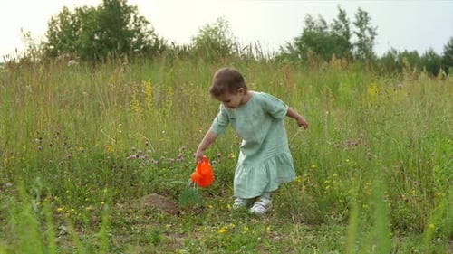 Child Waters Plant with Watering Can in Field