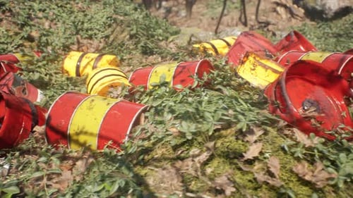 Dump In The Green Forest