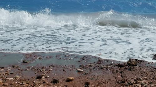 Sea (4K)