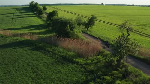 Motorbiker Rides Passing Green Fields and Trees at Sunset