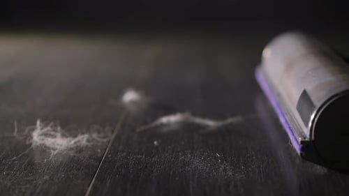 Vacuum Cleaner Cleans Pet Hair from Dark Wood Floor