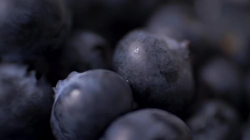 Detail of Blueberries. Macro Trucking Shot. Resolution Top View.