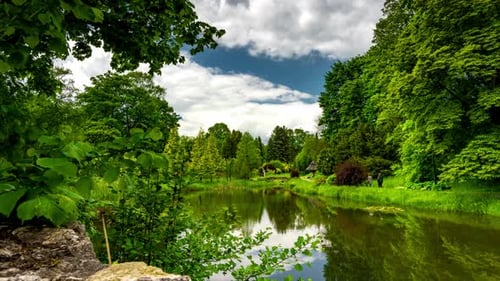 Calm lake in green city park.
