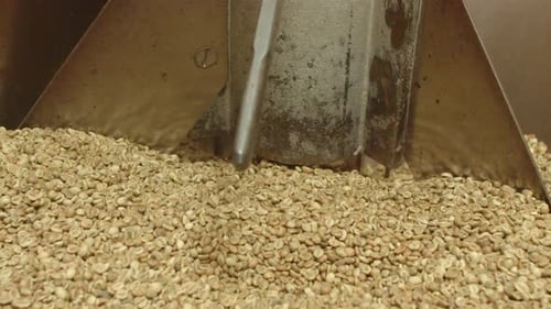 Industrial Machine Processing Unroasted Coffee Beans