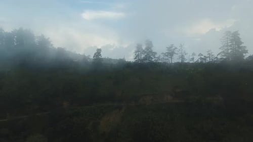 Rainforest Cloud BaliIndonesia