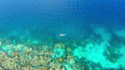 Aerial slow motion: woman snorkeling on coral reef tropical sea from above
