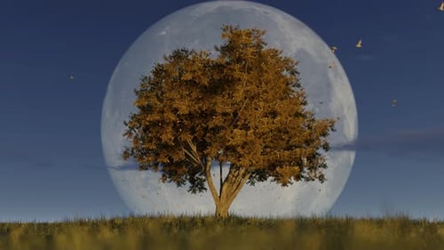 Animated Autumn Tree With Falling Leaves And Full Moon Background