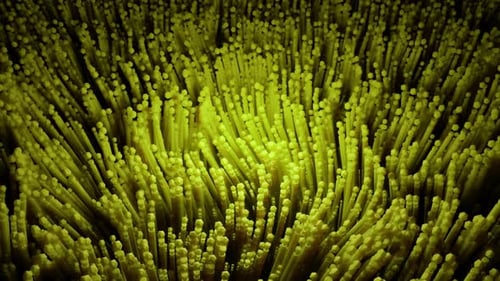 Abstract Organic Field of Flowing Green Pillars Loop