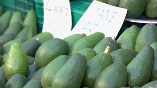Exposición de aguacates frescos en el mercado de frutas
