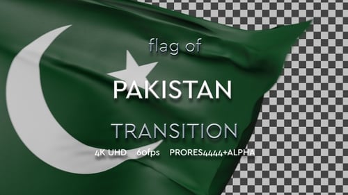 Waving Pakistan Flag Realistic Alpha Channel Animation