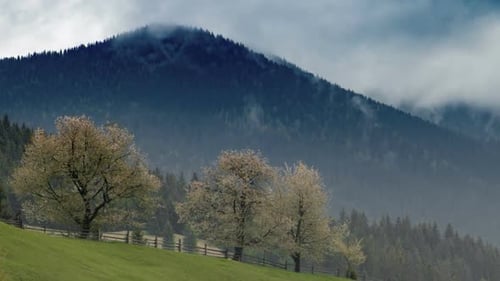 Mountain