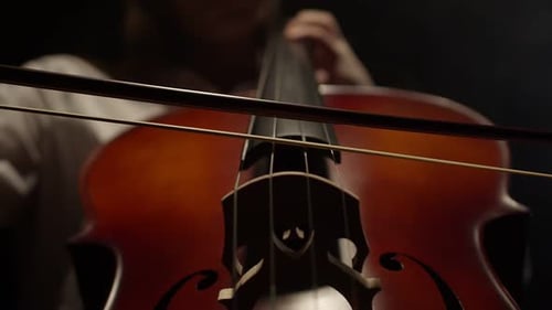 Bow and Strings of Cello on Black Background Closeup Down View