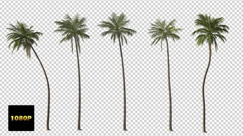 Five Animated Tropical Palm Trees with Moving Fronds
