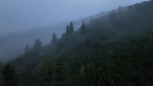 Fog On The Hill On A Mystic Spring Morning