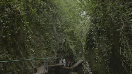 Hiking Trail in Rocky Jungle