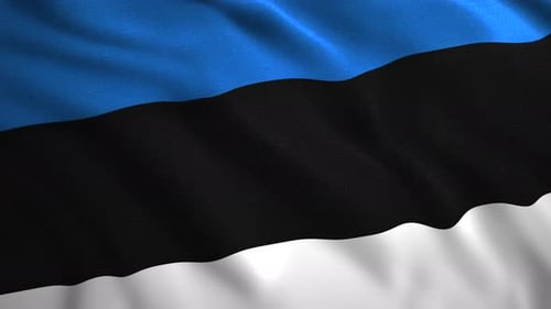Estonia National Flag Waving Loop