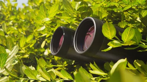 Binoculars Hidden in Green Leaves for Nature Observation or Discreet Surveillance