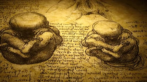 Anatomie-Kunst