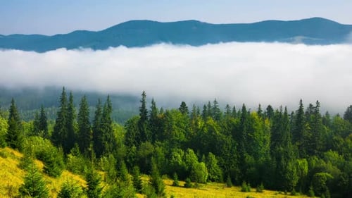 Foggy Mountain Landscape With Lush Green Trees