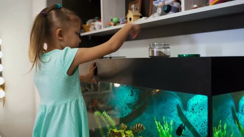Little Girl Child At Home Feeds Aquarium Fish