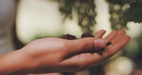 Mulher segura um punhado de solo fértil na mão