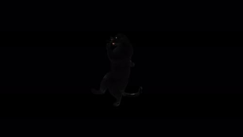 Realistic Black Panther Standing Alpha Channel Animation