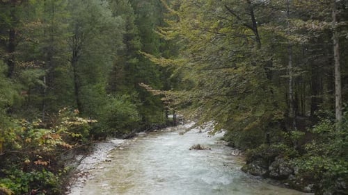 Aerial view of Fast Moving River with Rapids Surrounded by Forest