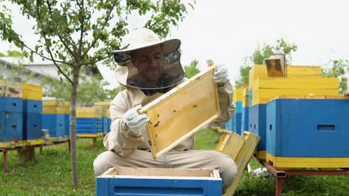 Nahaufnahme Porträt eines Imkers mit einer Wabe voller Bienen