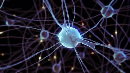 Animation of the nervous system and impulses of brain neurons under a microscope 4k