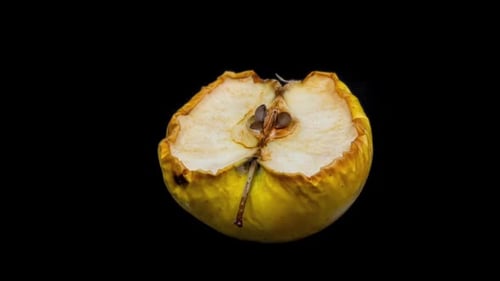 Verrottender Apfel
