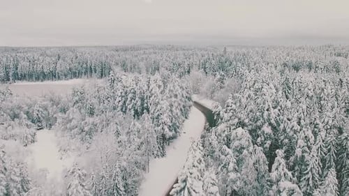 Snow covered empty road and winter forest