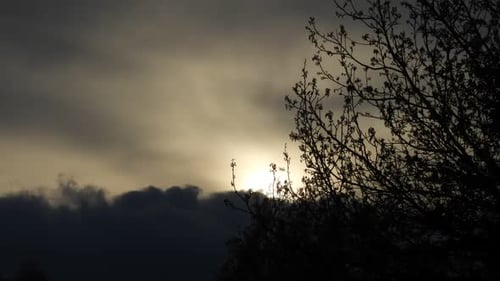 Beautiful timelapse of sunset with clouds and tree branches