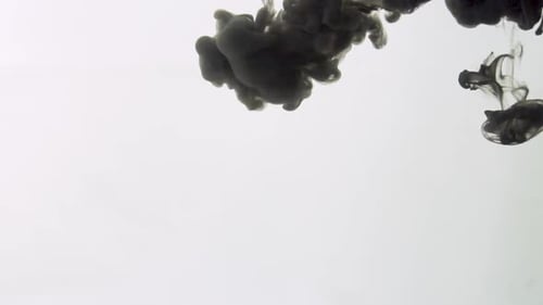 Black Ink Slowly Dissolving in Clear Water