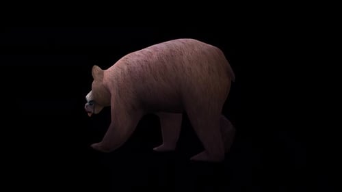 Hunted Duck And Bear - Walk Back View