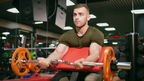 Young Adult Bodybuilder Doing Weight Lifting Training His Biceps in Gym