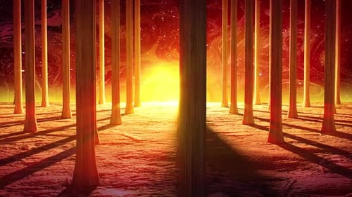 Loop „Sonnenuntergang im Wald“