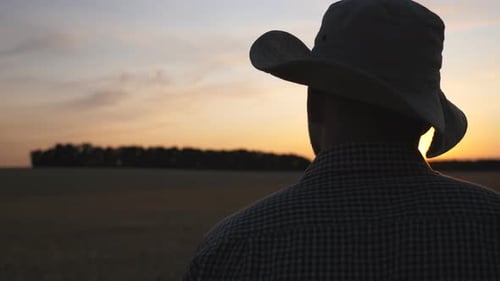 Young Farmer Stands in Wheat Field and Looks at Golden Plantation. Male Agronomist Examines Barley