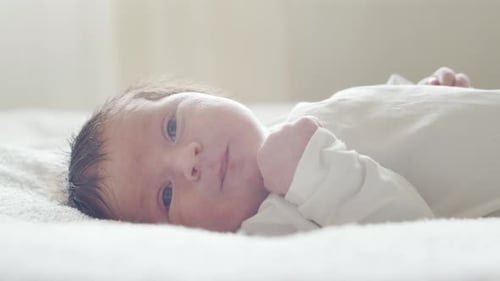 Close-up portrait of a young baby who has recently been born.