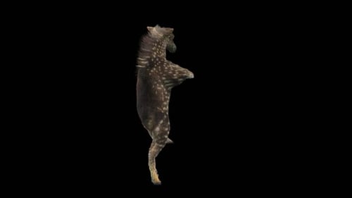 Animated Spotted Deer Dancing on Two Legs