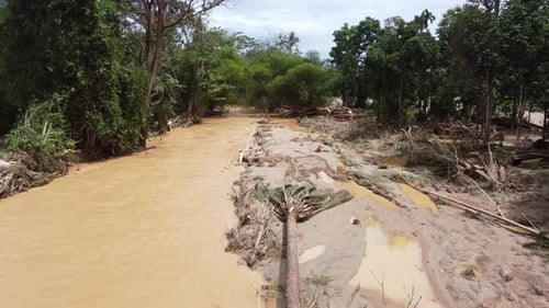 Move the flash flood river hit the tree and cause clear away