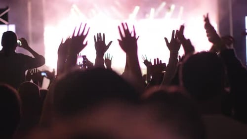 Excited Crowd Raises Hands at Live Music Event