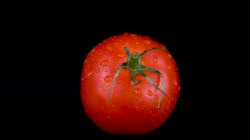 Wasser wird auf eine Tomate gesprüht. Auf einem schwarzen isolierten Hintergrund